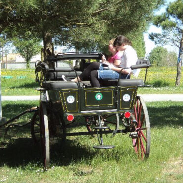 Atelage Centre Equestre Airotel Oleron