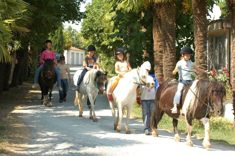 Balade à cheval Ile d'Oléron : promenade & randonnée équestre