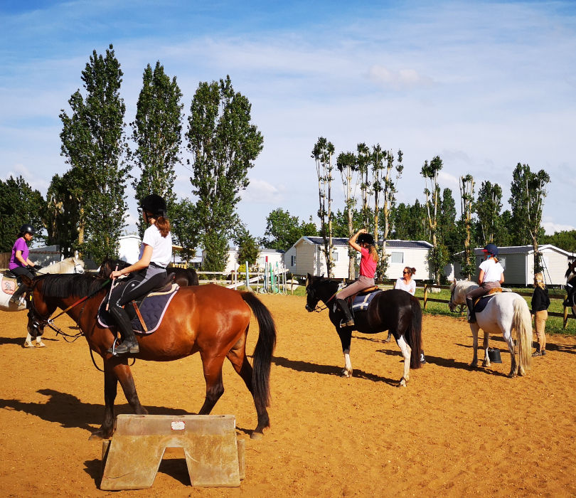 Centre Equestre ile oleron