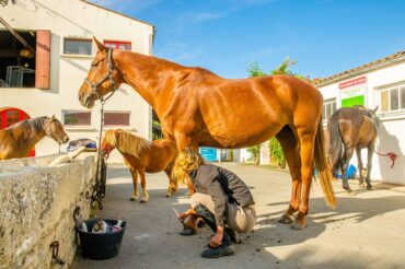 Equipement Centre Equestre