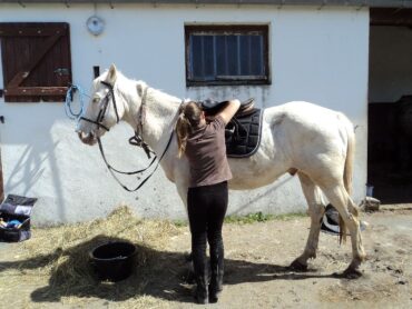 Equipements Centre Equestre Ile Oleron