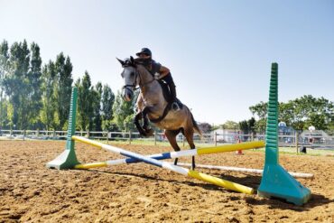 Ile Oleron Enseignement Equestre
