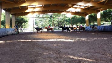 Manege Couvert Centre Equestre Ile Oleron